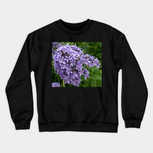 Beautiful Lilac Flowers Closeup Crewneck Sweatshirt